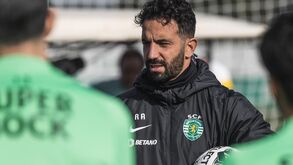 Amorim e a homossexualidade no futebol: «Não há discriminação. É, isso sim, um tema tabu»