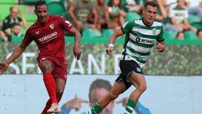 'Polvo' com memória de peixe: Fernando não sabia que Gueye não pode jogar Liga Europa