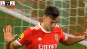 Musa marcou de cabeça ao Boavista após 'mergulhar' e pediu desculpa à antiga equipa