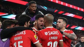 A crónica do Benfica-Boavista, 3-1: A arte de domar panteras atrevidas