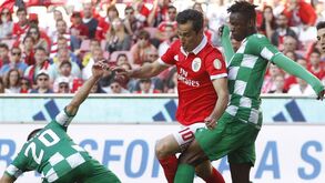 «Jamais suspeitaria»: Rafael Costa foi titular no Benfica-Moreirense que está a ser investigado