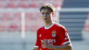 Schjelderup foi titular no Benfica B e recebeu elogio de Luís Castro: «Cada vez mais forte fisicamente»
