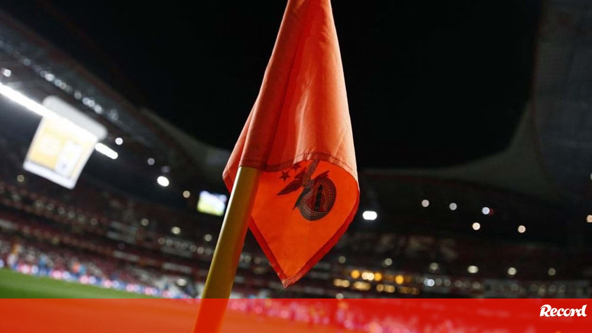 SAD del Benfica confirma la acusación de evasión fiscal – Benfica