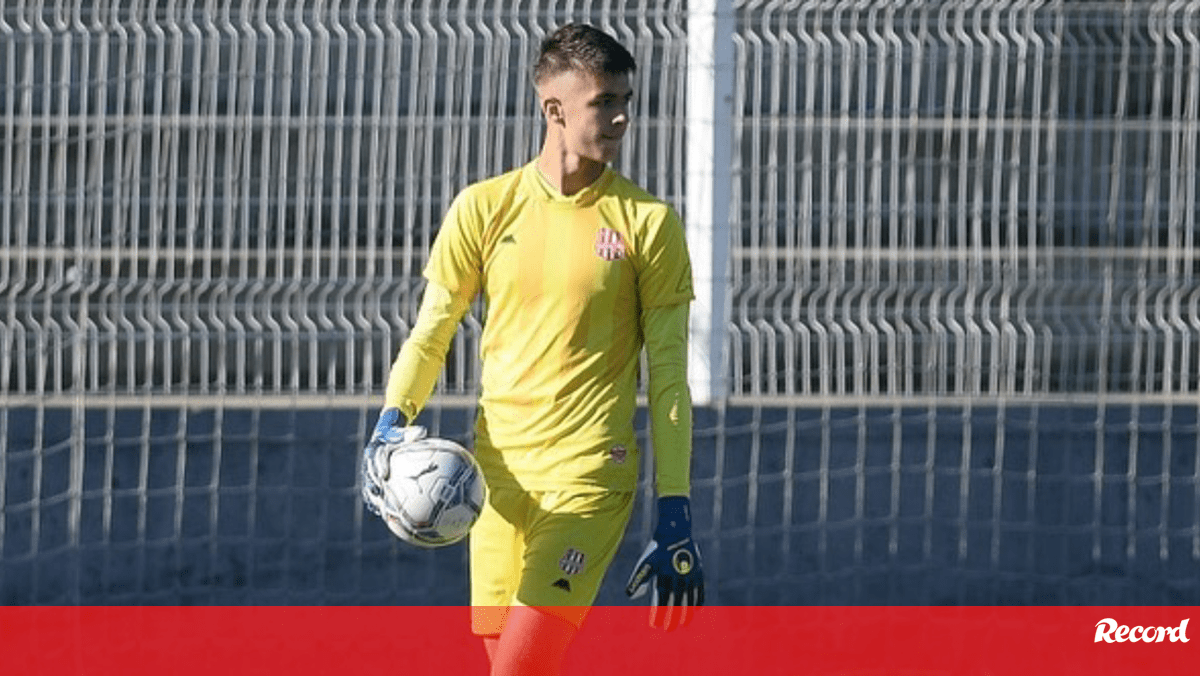 Italianos noticiam que Luka Velickovic está prestes a ser contratado pelo Benfica