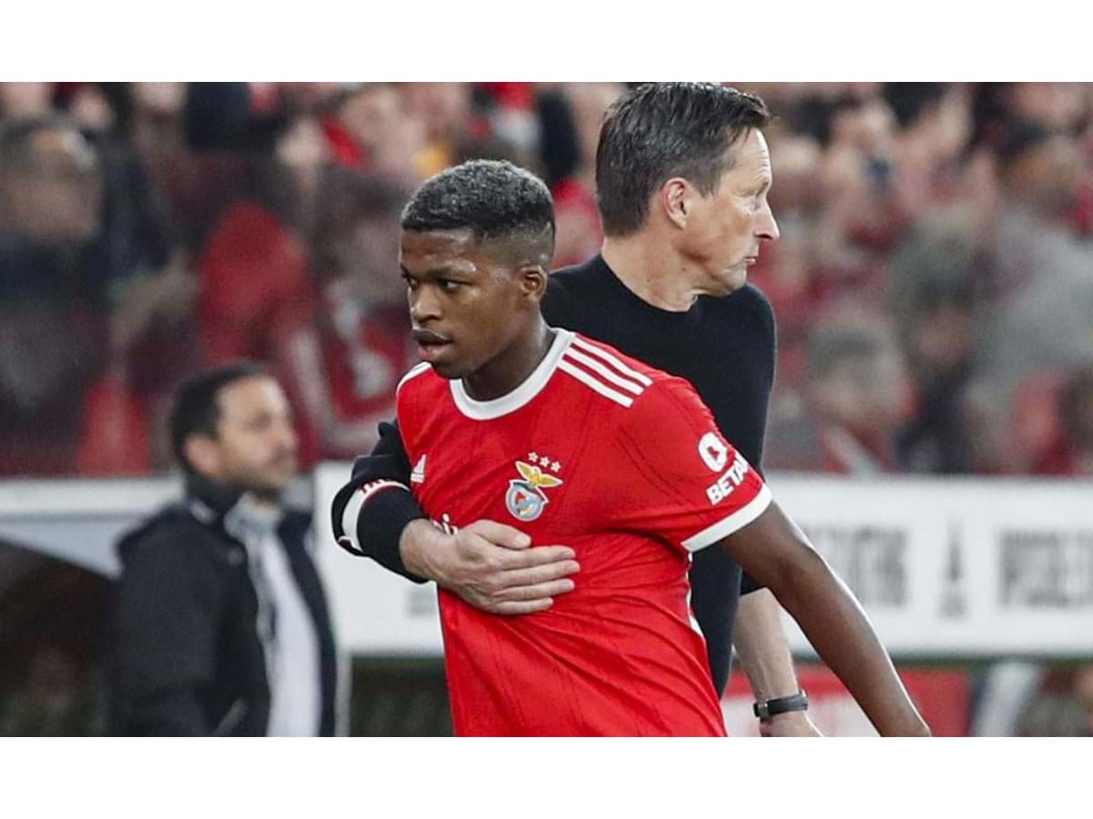 Futuro na Europa em jogo: o onze provável do Benfica para o jogo com o  Salzburgo - Fotogalerias - Jornal Record