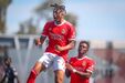 Cher Ndour (Benfica)