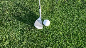 GOLFE DOS ECONOMISTAS EM SAMORA CORREIA