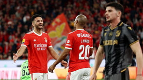 Benfica-V. Guimarães, 5-1: águia come muito com menos fome