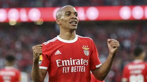 As notas dos jogadores do Benfica diante do V. Guimarães: lá vai o Super Mário