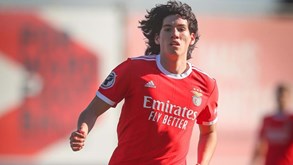 Jovem recusa chamada à seleção: «Não parece justo que só por estar no Benfica mereça ser convocado»