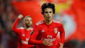 João Félix revela que não queria deixar a Luz em 2019: «Progredi muito e sempre estarei agradecido ao Benfica»