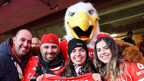 Benfica passa o milhão de espetadores esta temporada no Estádio da Luz