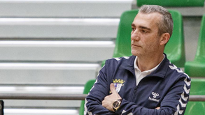 Galos atrevidos na visita à Luz