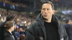 O onze provável do Benfica para o jogo com o Club Brugge