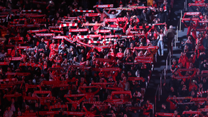 Euforia nas bancadas antes do Benfica-Club Brugge