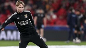 Roger Schmidt sobre Schjelderup: «O seu momento vai chegar»