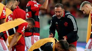 Tita faz análise ao momento do Flamengo: «Não tem condições para jogar 90 minutos»