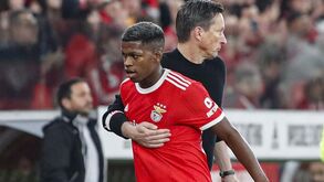 Florentino e mais 10: o onze provável do Benfica para o jogo com o Marítimo