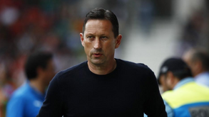 Roger Schmidt: «Foi bom para a equipa marcar um golo antes do intervalo»