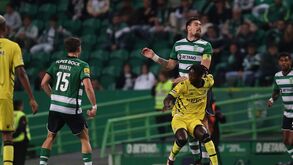 O Sporting-Boavista visto à lupa: Corredores a funcionar