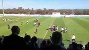 Youth League: Grande festa em Alcochete com apuramento inédito do Sporting
