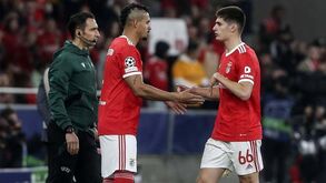 Lucas Veríssimo pensa voltar ao Brasil: «Aqui pode tornar-se referência se estiver livre de lesões»