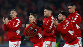 Espanhóis alertam para o 
