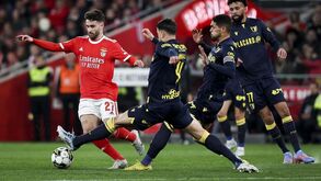 Schmidt comenta ausência de Florentino da Seleção e deixa garantia: «Se continuar a jogar assim...»