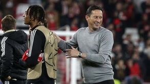 Da conquista da Youth League à 