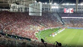 Adeptos do Flamengo não poupam Vítor Pereira: «Burro, burro»