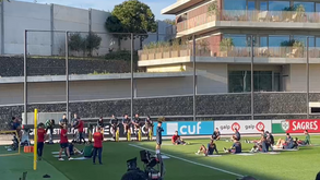 Ginásio transportado para o relvado na Seleção: exercícios feitos ao ar livre no 1.º treino de Martínez