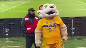 Um tigre demasiado maroto: Mascote faz gesto proibido no México