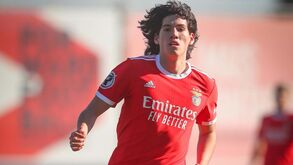 Jovem recusa chamada à seleção: «Não parece justo que só por estar no Benfica mereça ser convocado»