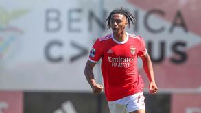 PSG prepara ataque a Cher Ndour