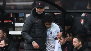 Djibril Cissé e a pouca utilização de Fábio Carvalho no Liverpool: «Klopp está a prepará-lo»