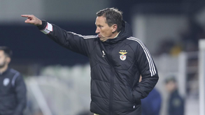 Projeto a longo prazo: Schmidt a romper tradição