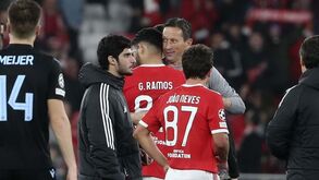 Simões aplaude renovação de Schmidt: «Há uma melhoria substancial do futebol do Benfica»