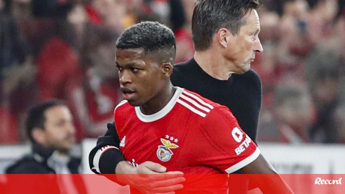 João Tralhão approuve les éloges de Schmidt pour Florentino: «Ce voyage« vallonné »lui a fait du bien» – Benfica