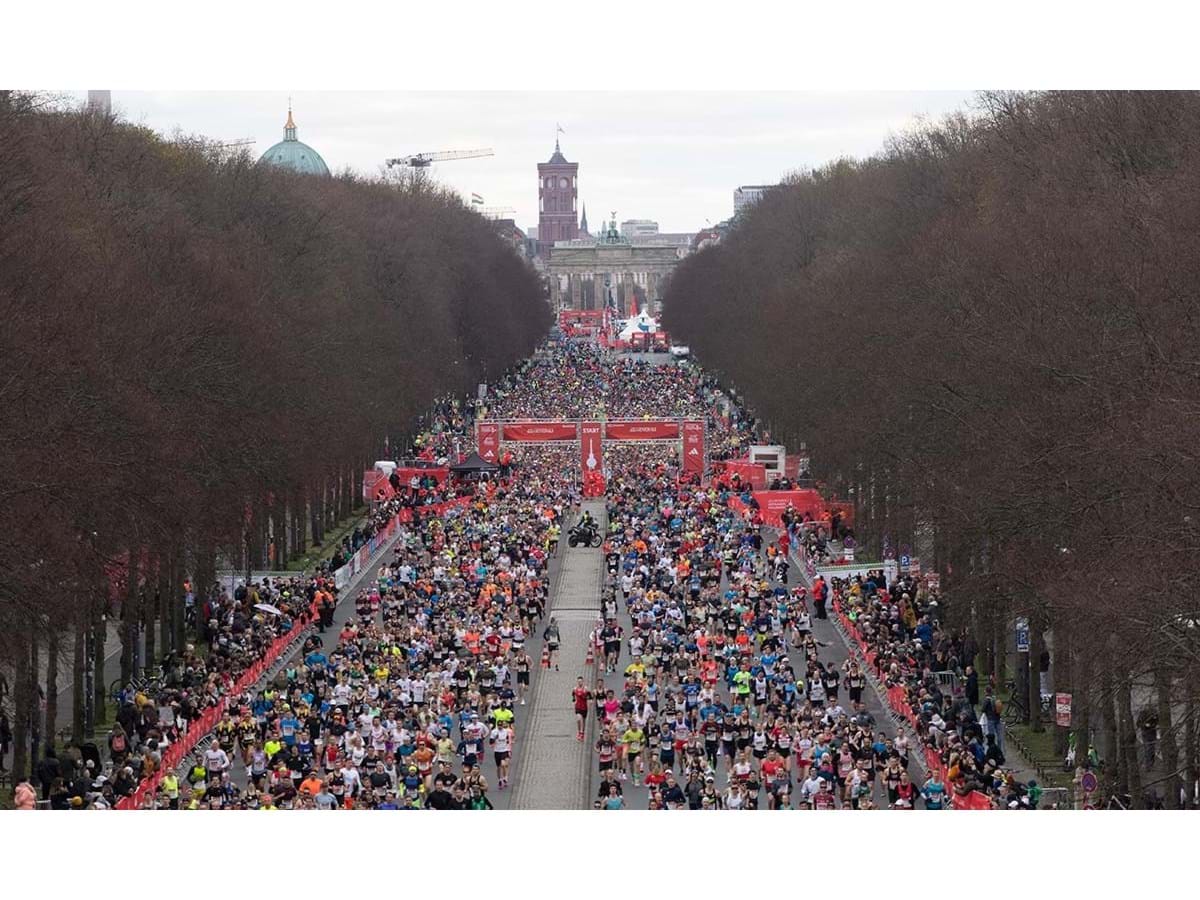 A maior maratona europeia de pombos - Modalidades - Jornal Record