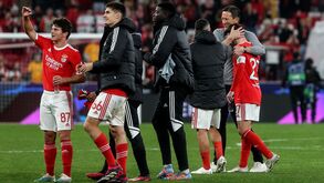 Schmidt é trunfo para segurar Rafa