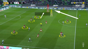 O Sporting-Santa Clara visto à lupa: Via Verde