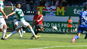 Sp. Covilhã-E. Amadora, 0-2: Serra do Estrela