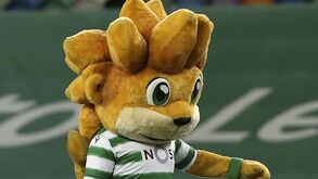 Agressão a Jubas: das imagens de videovigilância do Sporting à posição da empresa dona do camarote