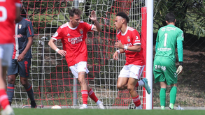 Benfica-Sp. Braga, 1-0: Águia quebra o enguiço