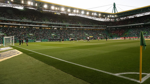 Chaves e Sporting empatados no ranking de relvados da jornada 26 da Liga Bwin