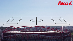 Um clássico de topo no campeonato: os onzes prováveis de Benfica e FC Porto