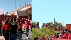 Três adeptos do Benfica identificados nas imediações do Estádio da Luz