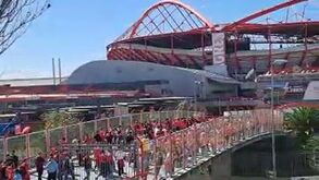 Adeptos concentrados junto à rotunda Cosme Damião à espera do autocarro do Benfica