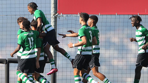 A crónica do Sporting-Alverca, 2-1: Leão supersónico soma e segue