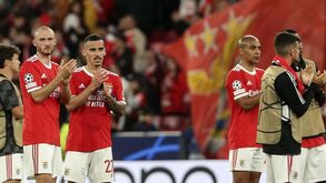 Magnusson e a vida das águias na Champions: «Acredito e quero muito que o Benfica chegue às 'meias'»